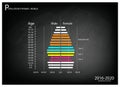 2016-2020 Population Pyramids Graphs with 4 Generation