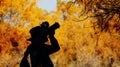 Populus euphratica forest in Xinjiang