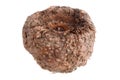 Porang plant tuber, Amorphophallus also known as konjac elephant yam konjak, Konjaku, Konnyaku Potato, devil tongue, voodoo lily Royalty Free Stock Photo