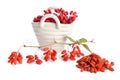 Porcelain basket with berberries Royalty Free Stock Photo