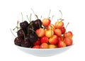 Porcelain bowl with bing and rainier cherries isolated