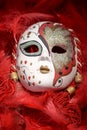 Porcelain carnival mask