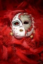 Porcelain carnival mask