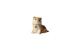 Porcelain cat figurine white background