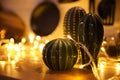 Porcelain Christmas cacti on a background of lights