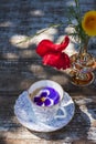 Porcelain cup of tea and beautiful spring flowers in vase on a wooden table in the garden. Summer party. Royalty Free Stock Photo