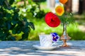 Porcelain cup of tea and beautiful spring flowers in vase on a wooden table in the garden. Summer party. Royalty Free Stock Photo