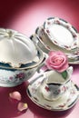 Porcelain dinner set with rose Royalty Free Stock Photo