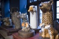 Porcelain figurines of exotic animals: goose, zebra, tiger on a table for sale