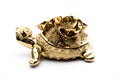 Porcelain golden turtle, on white background.