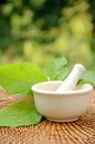 Porcelain herbal medicine grinder.