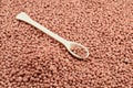 Porcelain laboratory spoon on mineral fertilizers. Selective focus Royalty Free Stock Photo
