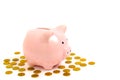 Porcelain pink pig piggy Bank among the Golden coins on a white background Royalty Free Stock Photo