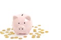 Porcelain pink pig piggy Bank among the Golden coins on a white background Royalty Free Stock Photo