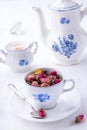 Porcelain set with tea from roses Royalty Free Stock Photo