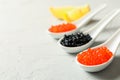 Porcelain spoons with caviar and lemon slices Royalty Free Stock Photo