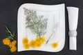 Porcelain Tableware