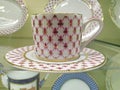 Porcelain tea cup and dish Royalty Free Stock Photo