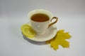 Porcelain tea Cup isolated on white. Yellow maple leaf. Limon. Royalty Free Stock Photo