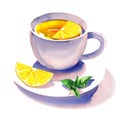 Porcelain white cup of hot tea with lemon and mint, healthy drink, close-up, isolated, hand drawn watercolor Royalty Free Stock Photo