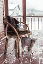 Porch of log cabine with snow Royalty Free Stock Photo