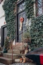The porch of an old house with steps. The front door is decorated with a wreath. The walls are wrapped in ivy. On the windows bars