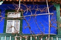 Porch, painted blue wall, vine vines Royalty Free Stock Photo