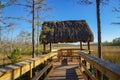 porch in the swamp Royalty Free Stock Photo