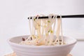 Porcine liver powder-Rice noodles