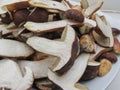 porcini (boletus edulis) mushroom food