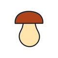 Porcini cep icon. Vector isolated linear color icon contour shape outline. Thin line. Modern glyph design. Mushrooms Royalty Free Stock Photo