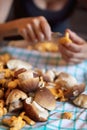 Porcini and chanterelles, woman cleaning the mushrooms in the ba