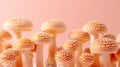 Porcini mushroom boletus edulis on soft pastel colored background for a delicate touch