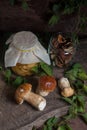 Porcini mushroom commonly known as Boletus Edulis, glass jar with canned mushrooms and glass jar with dry mushrooms on vintage Royalty Free Stock Photo