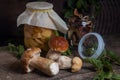 Porcini mushroom commonly known as Boletus Edulis, glass jar with canned mushrooms and glass jar with dry mushrooms on vintage Royalty Free Stock Photo
