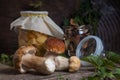 Porcini mushroom commonly known as Boletus Edulis, glass jar with canned mushrooms and glass jar with dry mushrooms on vintage Royalty Free Stock Photo