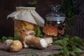 Porcini mushroom commonly known as Boletus Edulis, glass jar with canned mushrooms and glass jar with dry mushrooms on vintage Royalty Free Stock Photo