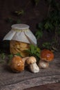 Porcini mushroom commonly known as Boletus Edulis and glass jar with canned mushrooms on vintage wooden background