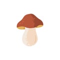 Porcini mushroom. Edible and delicious fungus. Vector cartoon illustration.