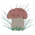 Porcini mushroom with grass