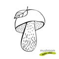 Porcini mushroom hand drawn vector illustration. Sketch food drawing isolated on white background. Organic vegetarian product. Royalty Free Stock Photo