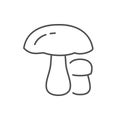 Porcini mushroom line outline icon