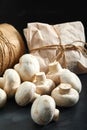 Porcini mushrooms. Copy space, close-up, photo for a grocery store Royalty Free Stock Photo