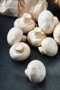 Porcini mushrooms. Copy space, close-up, photo for a grocery store Royalty Free Stock Photo