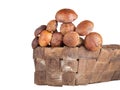 porcini mushrooms lying in a wicker basket isolated on white background. Shallow depth of field Royalty Free Stock Photo