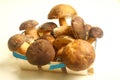 Porcini mushrooms seasonal from autumn as delicatessen food Royalty Free Stock Photo