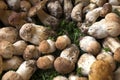 Porcini mushrooms on a table in front of the store. Royalty Free Stock Photo