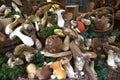 Porcini mushrooms on a table in front of the store. Royalty Free Stock Photo