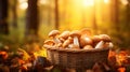 Porcini mushrooms in a wooden basket on a blurred background of the autumn forest. Generative AI