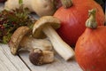 Autumn fruits on wooden background